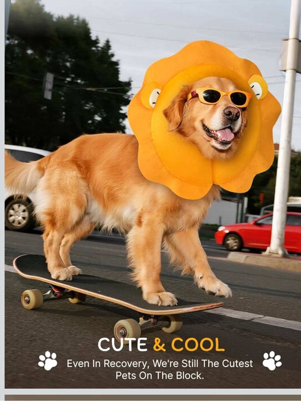 New! Cone Collar for Dogs, Soft Inflatable Dog Cone Alternative (Lion,XL)